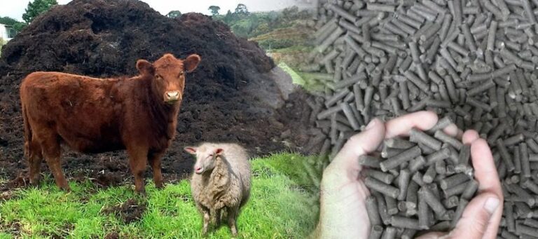 Animal Manure to Fertilizer