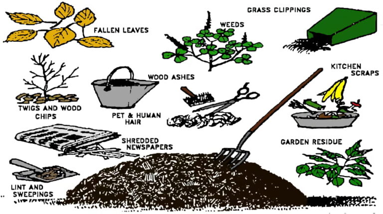 What raw materials are used for organic fertilizer production