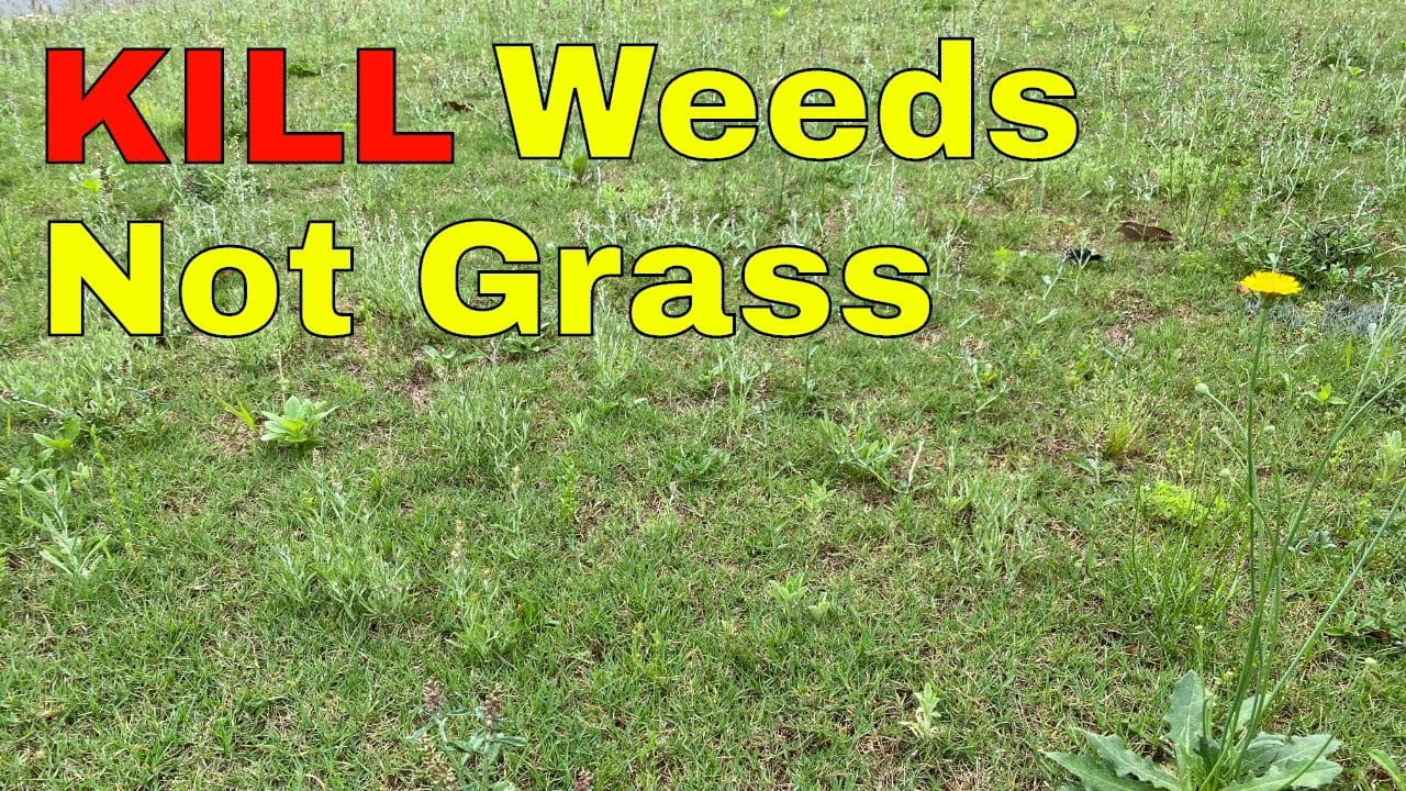 will lawn fertilizer kill weeds
