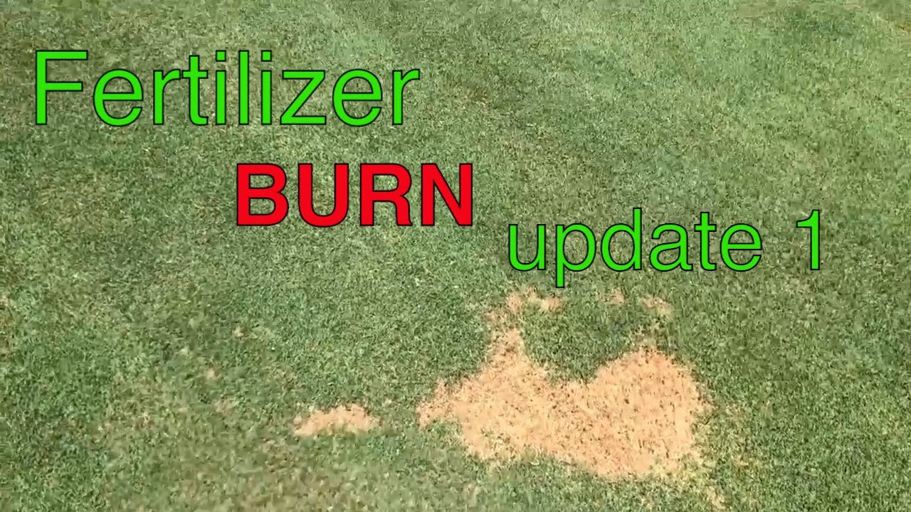 will nitrogen fertilizer burn grass