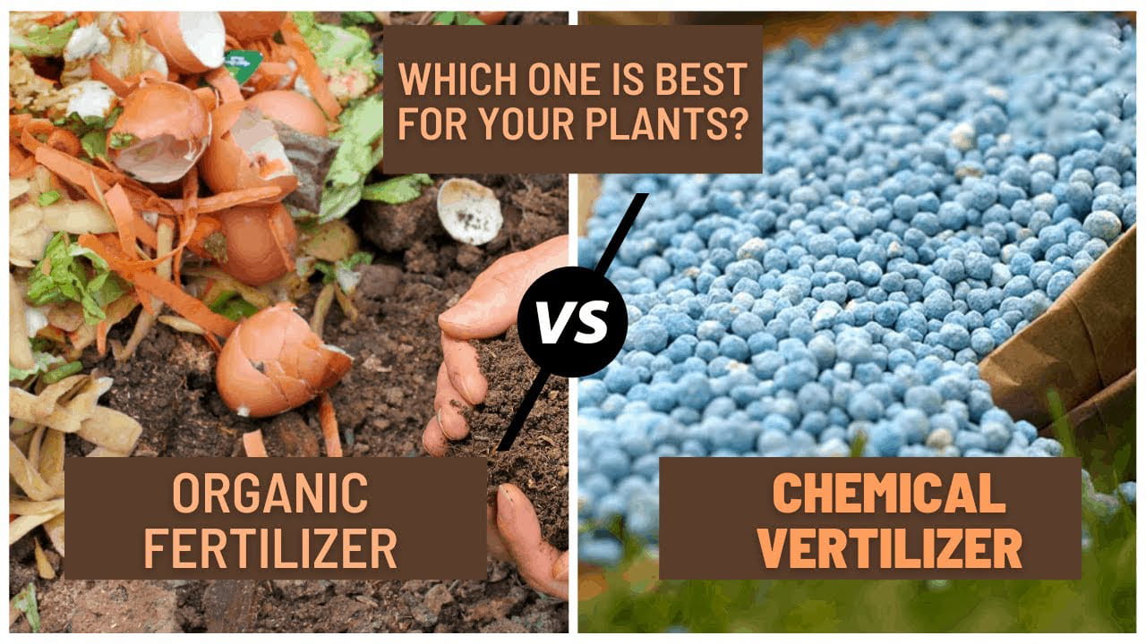 organischer Dünger und anorganischer Dünger