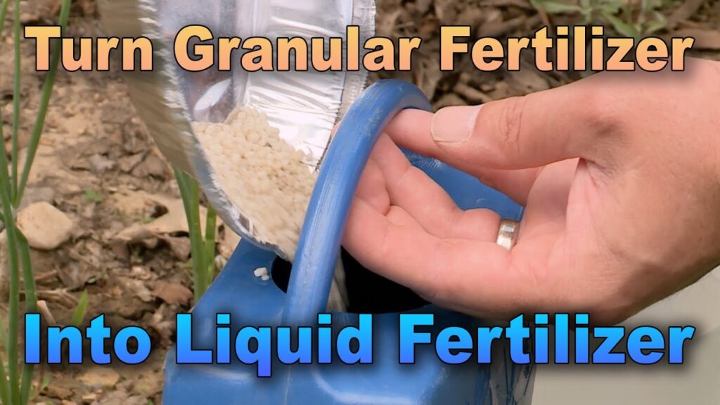 can you mix granular fertilizer with water