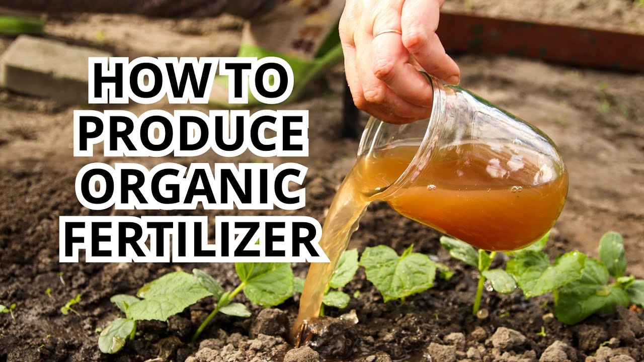 how to produce organic fertilizer