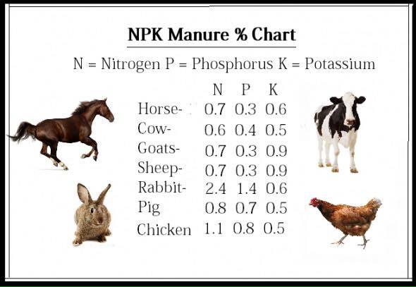 NPK Comparison Chart&nbsp;Pig manure vs cow horse chicken