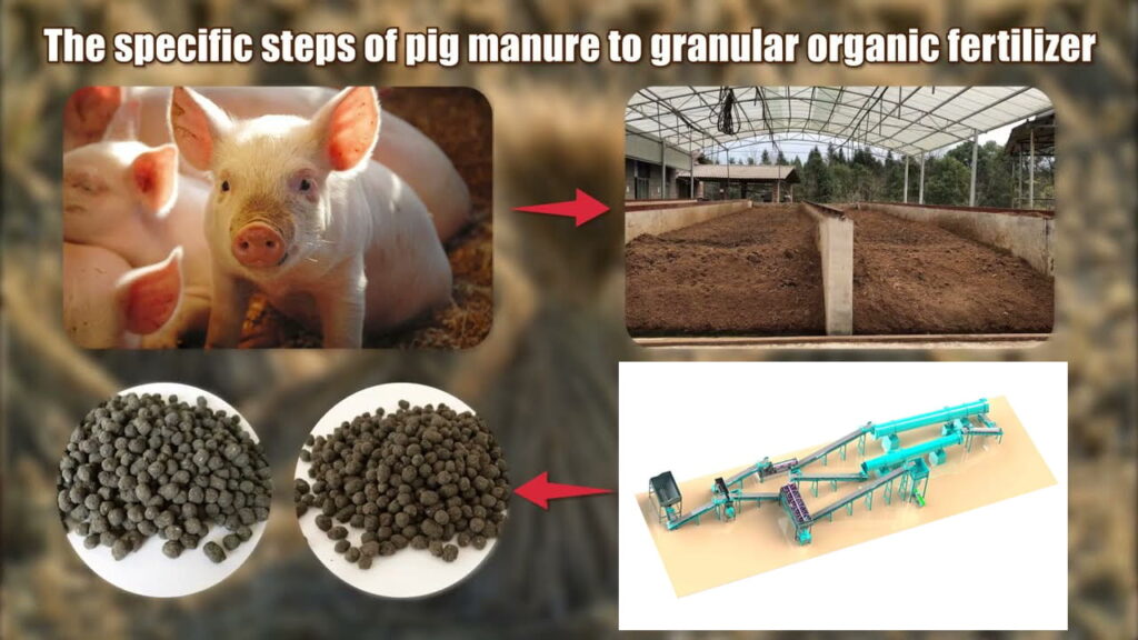 is pig manure good fertilizer