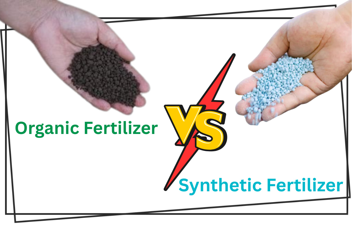 sentetik gübreye karşı organik gübre