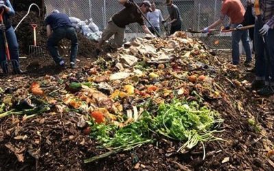 Fertilizer Production Line in Agricultural Waste Disposal