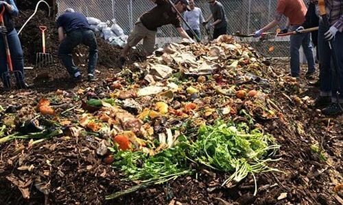 Fertilizer Production Line in Agricultural Waste Disposal picture Fertilizer Production Line in Agricultural Waste Disposal